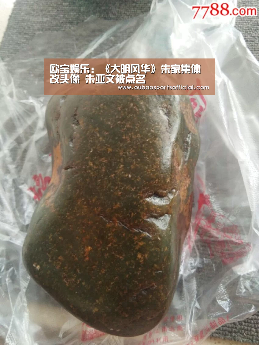 欧宝娱乐:《大明风华》朱家集体改头像 朱亚文被点名(图4) 欧宝体育