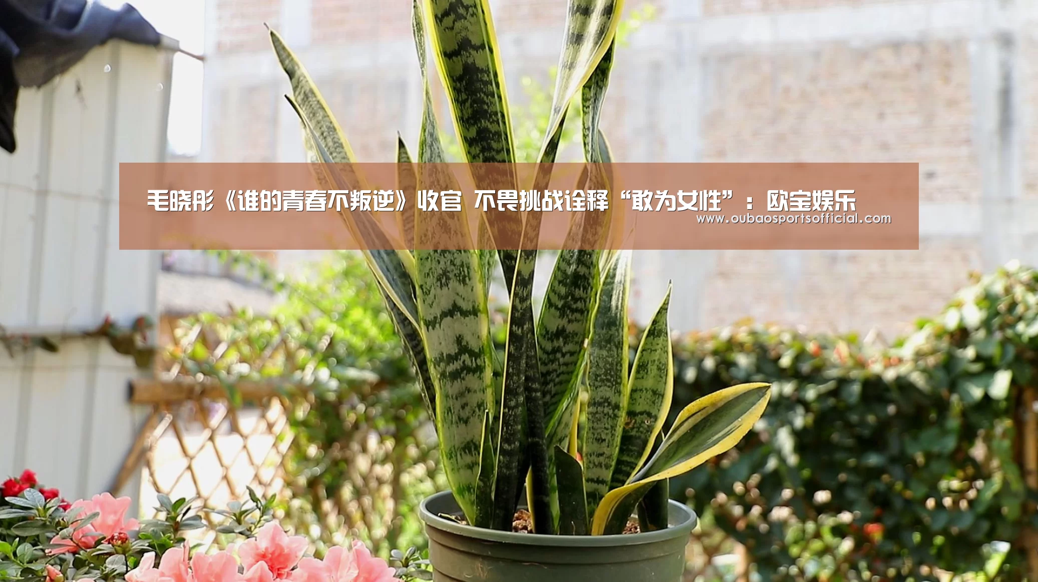 毛晓彤《谁的青春不叛逆》收官 不畏挑战诠释“敢为女性”:欧宝娱乐(图4) 欧宝体育